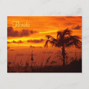 Carte Postale Silhouettes de Floride
