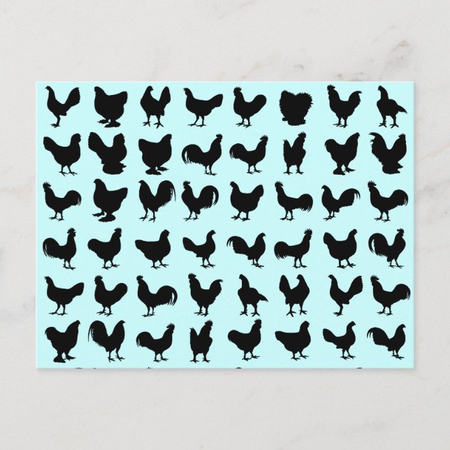 Carte Postale Silhouettes de poulet (Devant)