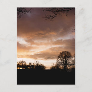 Carte Postale Silhouettes du coucher du soleil