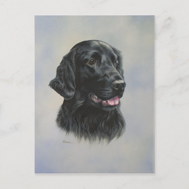 Carte Postale Silka (Devant)