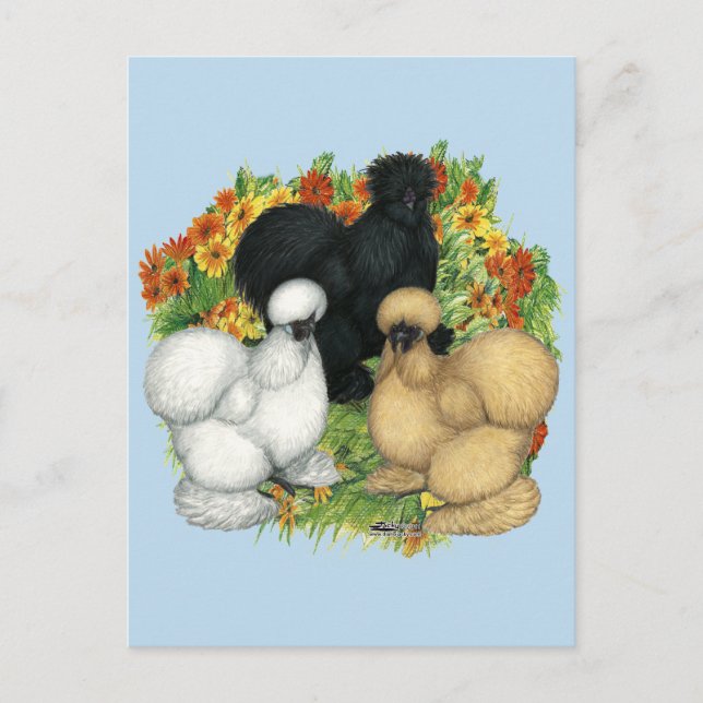 Carte Postale Silkies du jardin de fleurs (Devant)