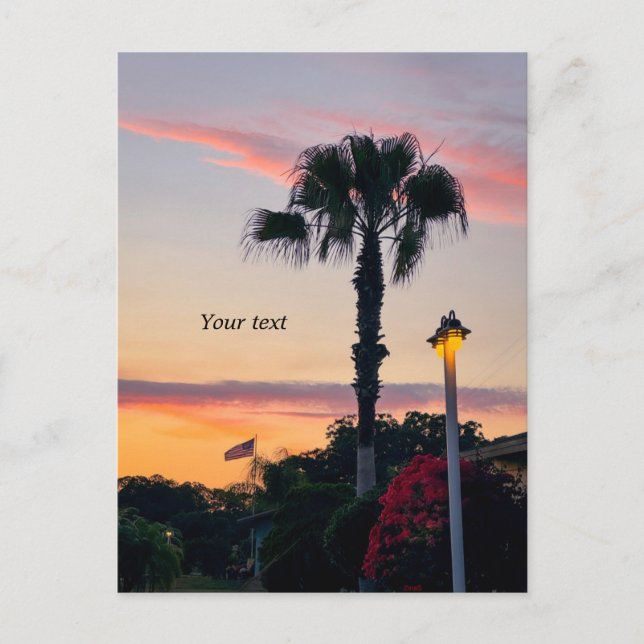 Carte Postale Sillouettes de palme et drapeau au coucher du sole (Devant)