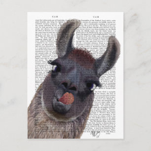 Carte Postale Silly Llama