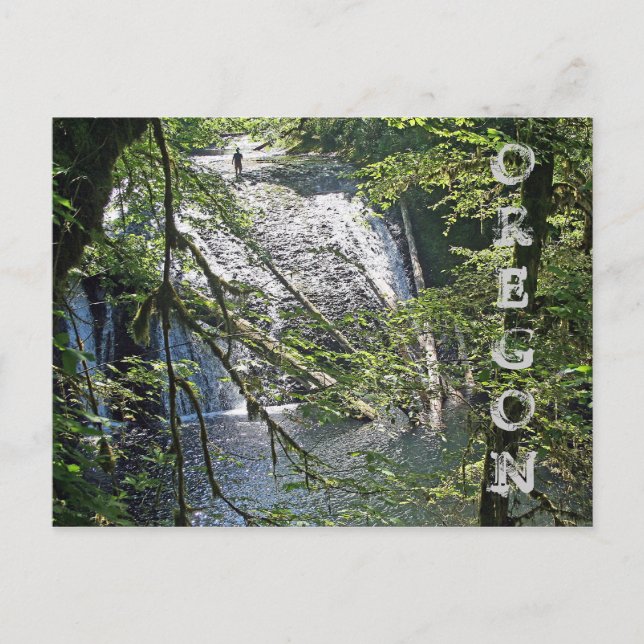 Carte Postale Silver Falls 4 (Devant)