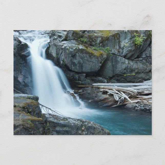 Carte Postale Silver Falls, Parc national du Mont Rainier (Devant)