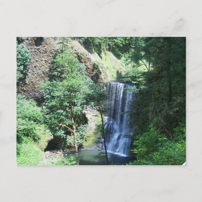 Carte postale Silver Falls State Park (Devant)