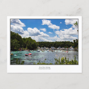 Carte Postale Silver Glenn Springs