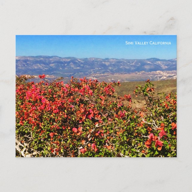 Carte Postale Simi Valley Californie (Devant)