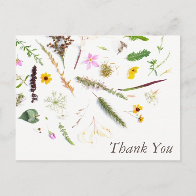 Carte Postale Simple Elégant Botanique Fleur Merci Fleur Sauvage (Devant)