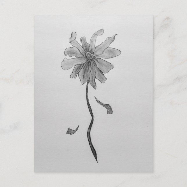 Carte Postale Simple marguerite (Devant)