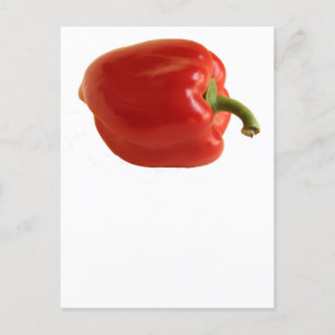 Carte Postale Simple Photo de Poivron Rouge sur Fond Blanc