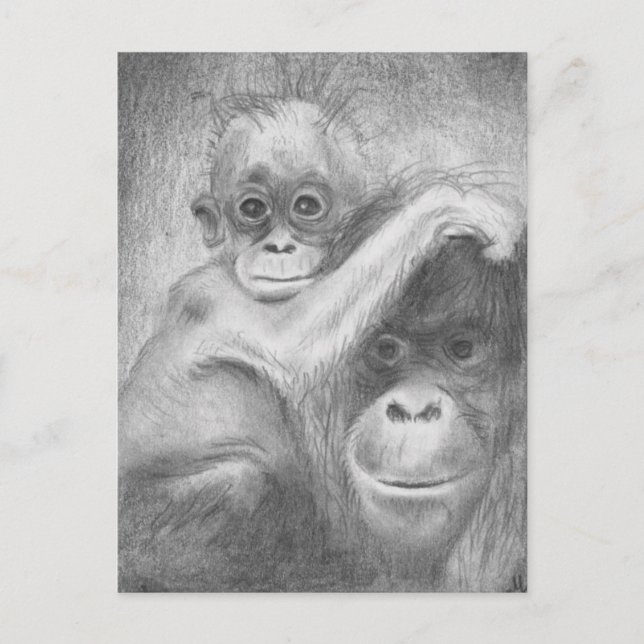 Carte Postale Singe (Devant)