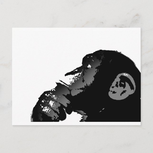 Carte Postale singe (Devant)