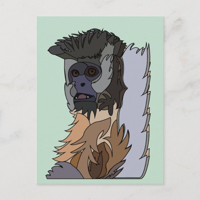 Carte Postale Singe capucin (Devant)