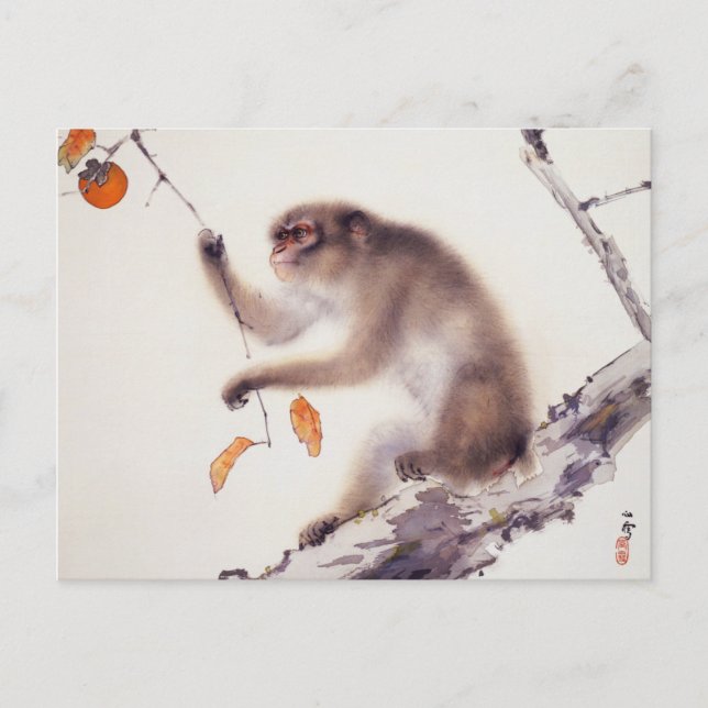 Carte Postale Singe dans un arbre persimmon (Devant)