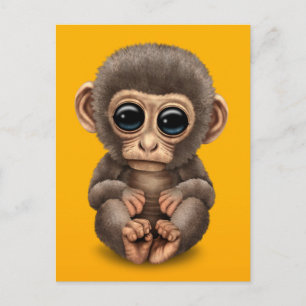 Carte Postale Singe de bébé mignon et curieux sur Jaune