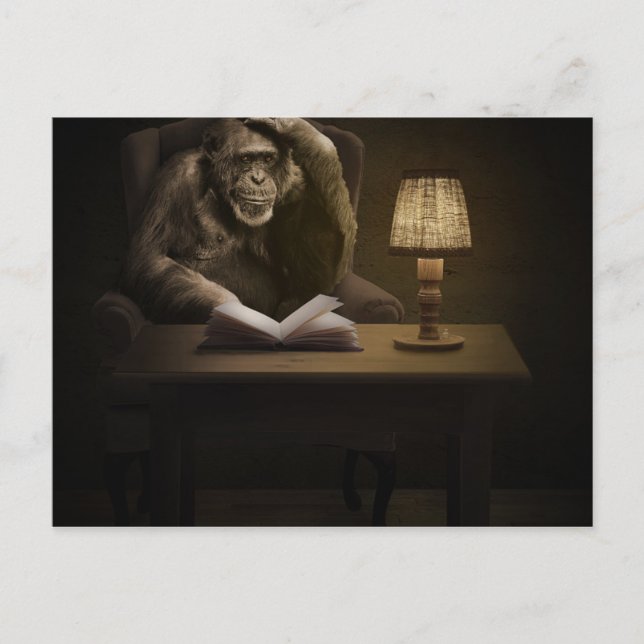 Carte Postale Singe de Chimpanzé Ape (Devant)