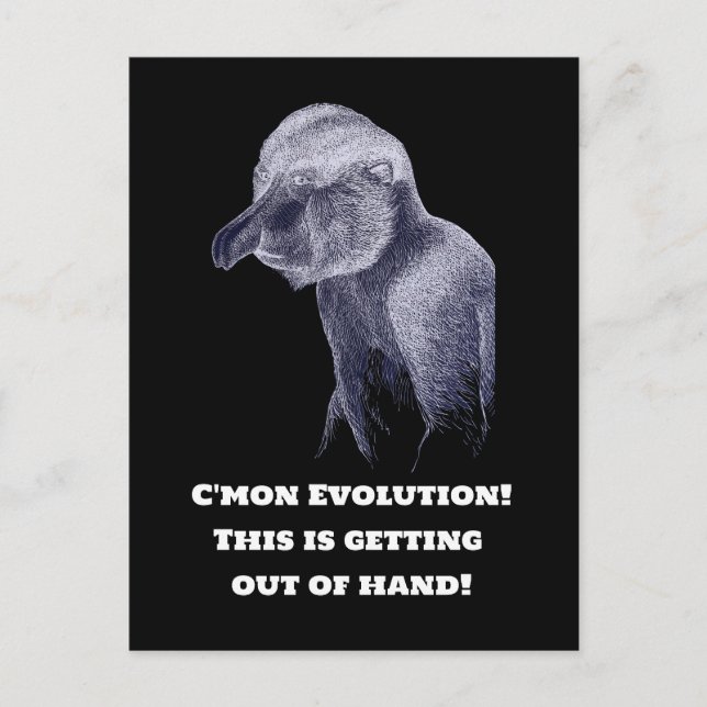 Carte Postale Singe de l'évolution (Devant)