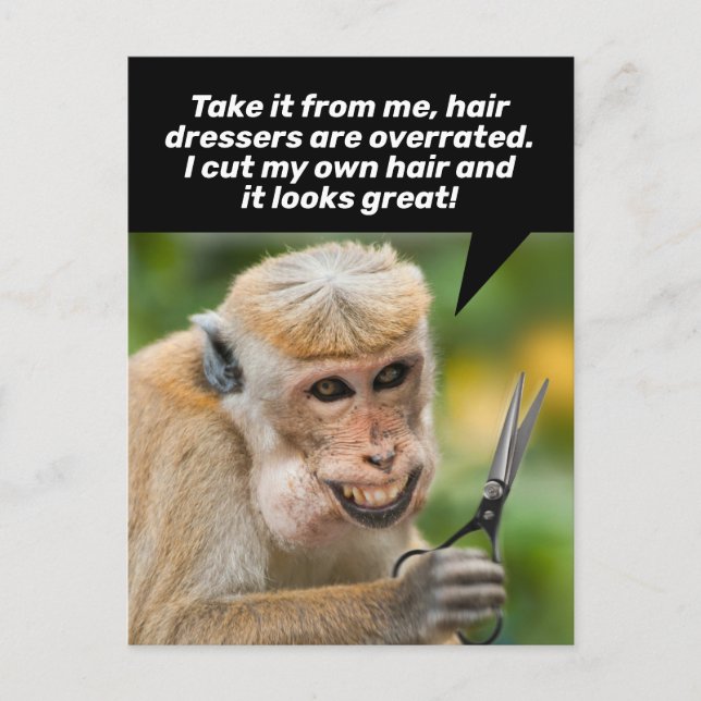Carte Postale Singe Drôle Avec Un Mauvais Abris De Cheveux En Pl (Devant)