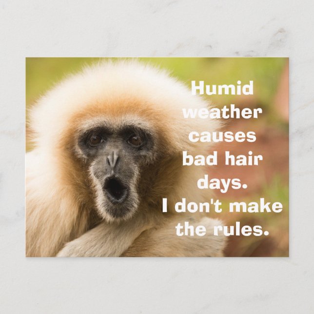 Carte Postale Singe drôle mauvaise journée de cheveux (Devant)