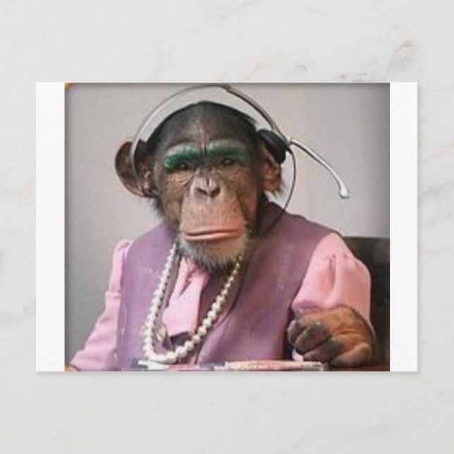 Carte Postale singe du téléphone (Devant)