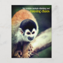 Singe écureuil dans l'arbre