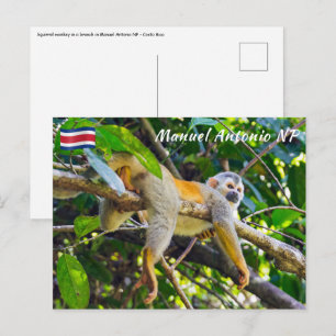 Carte Postale Singe écureuil dans le parc national Manuel Antoni