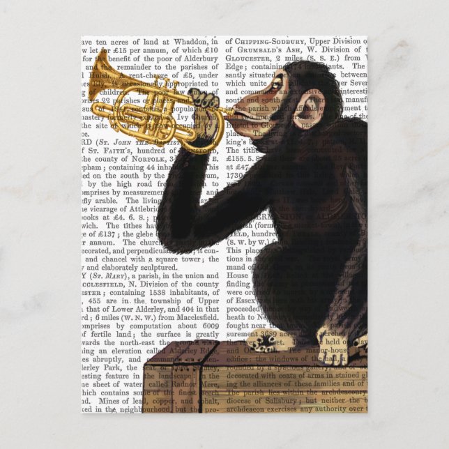 Carte Postale Singe Jouant à la trompette 2 (Devant)