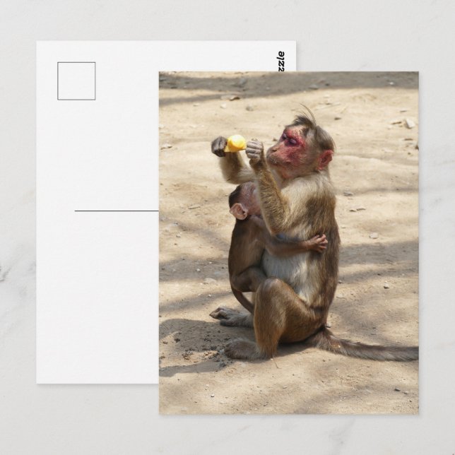 Carte Postale Singe - Mères Petit-Déjeuner (Devant / Derrière)