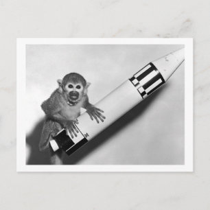 Carte Postale Singe - NASA - années 1950