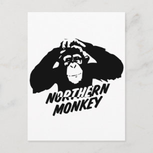 Carte Postale Singe nordique
