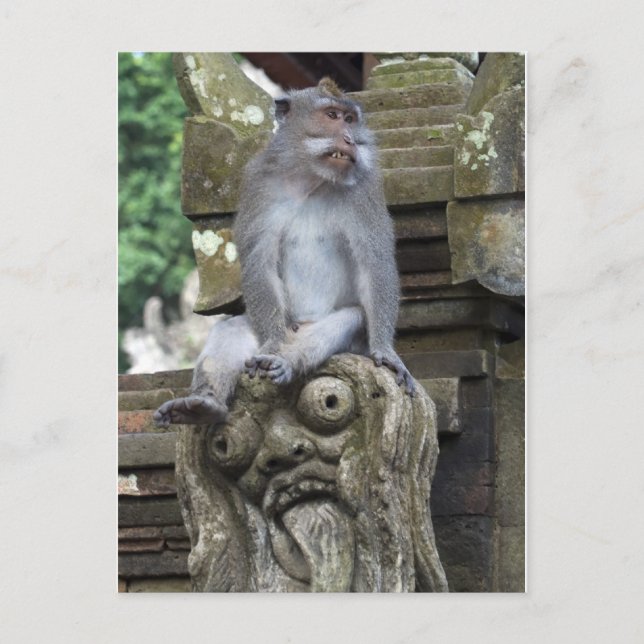 Carte Postale Singe se reposant à une statue dans Bali (Devant)