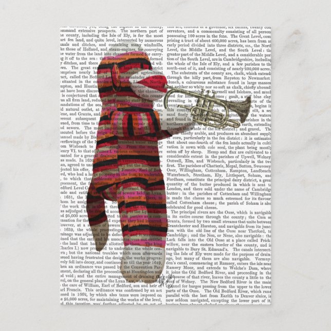 Carte Postale Singe-Sock Jouer Trumpet (Devant)