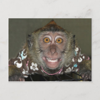Carte Postale Singe souriant