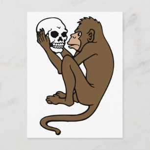 Carte Postale Singe Tenant Un Crâne