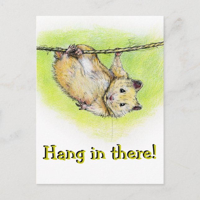 Carte Postale Sir Ham (Devant)