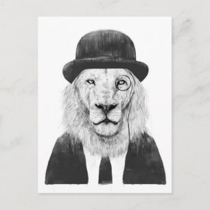 Carte Postale Sir lion