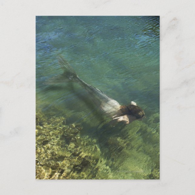 Carte Postale Sirène nageant sous l'eau (Devant)