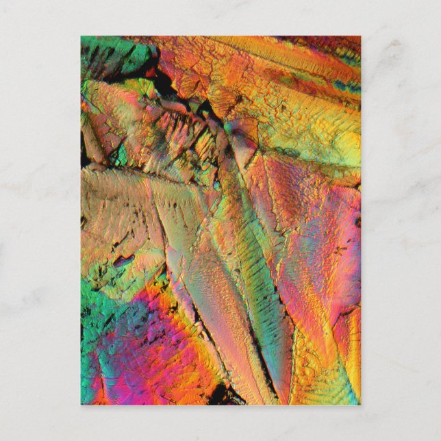 Carte Postale Sirop d'érable (Devant)