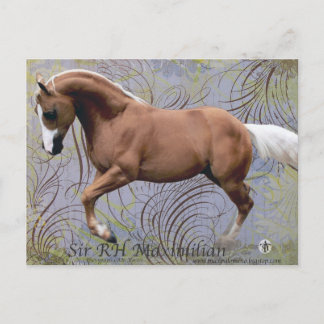 Carte Postale SirRHMaximilian2