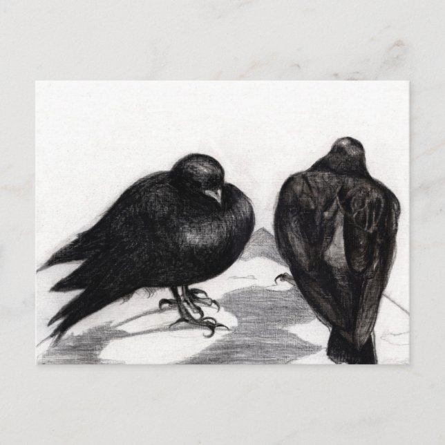 Carte Postale Situation grave de Pigeon 2012 (Devant)