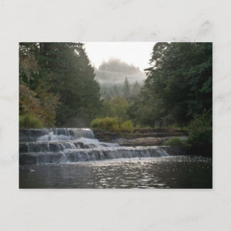Carte Postale Siuslaw Falls