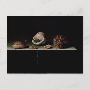 Carte Postale Six coquilles sur un plateau de pierre, 1696