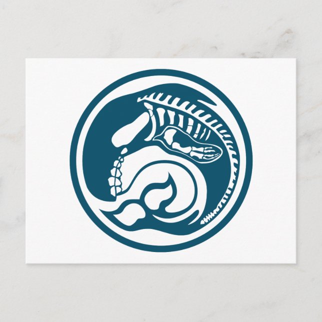 Carte Postale skeleorca (Devant)