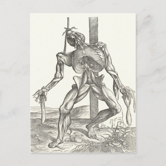 Carte Postale Skeleton Cadaver cadavre Anatomie Médicale (Devant)