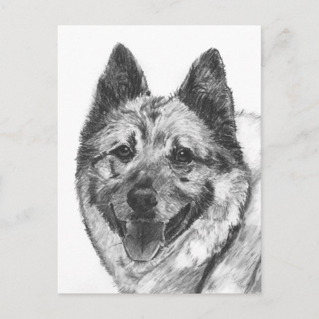 Carte Postale Sketch norvégien (Devant)