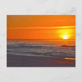 Carte Postale Skimmers volant à Sunrise, Floride Beach