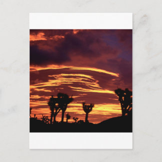 Carte Postale Sky Sunset Joshua Tree Californie