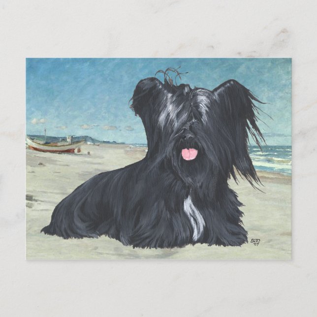 Carte Postale Skye Terrier à la plage (Devant)