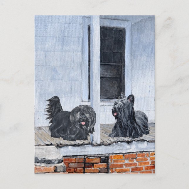 Carte Postale Skye Terriers attendent sur le Porche (Devant)